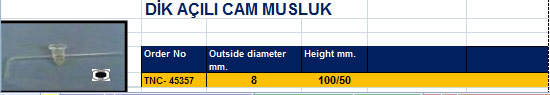 DİK AÇILI CAM MUSLUK